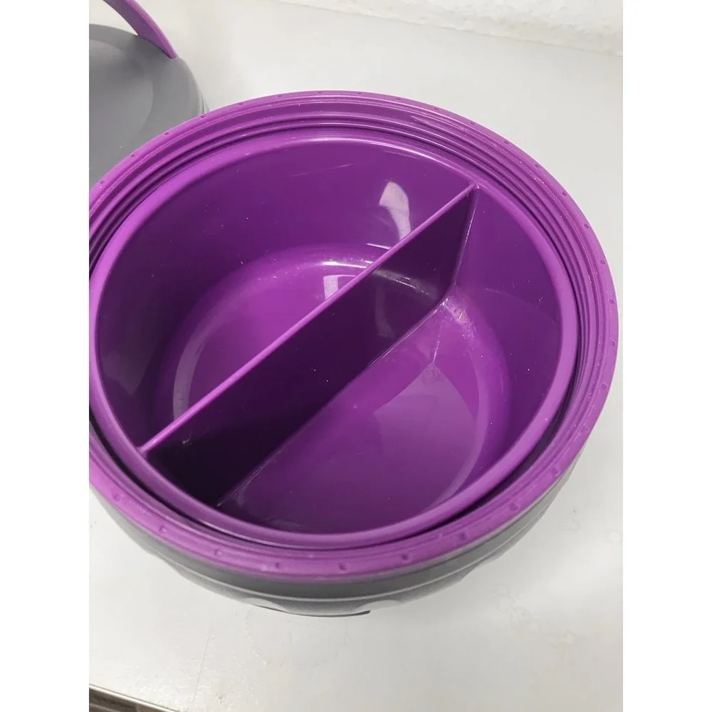 Aladdin Food/Soup Container With Divided Bowl & Handle 24 Ounces